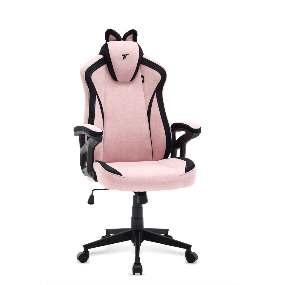 เก้าอี้เกมมิ่ง TTRacing Duo V4 ผ้า KittyPuff Edition